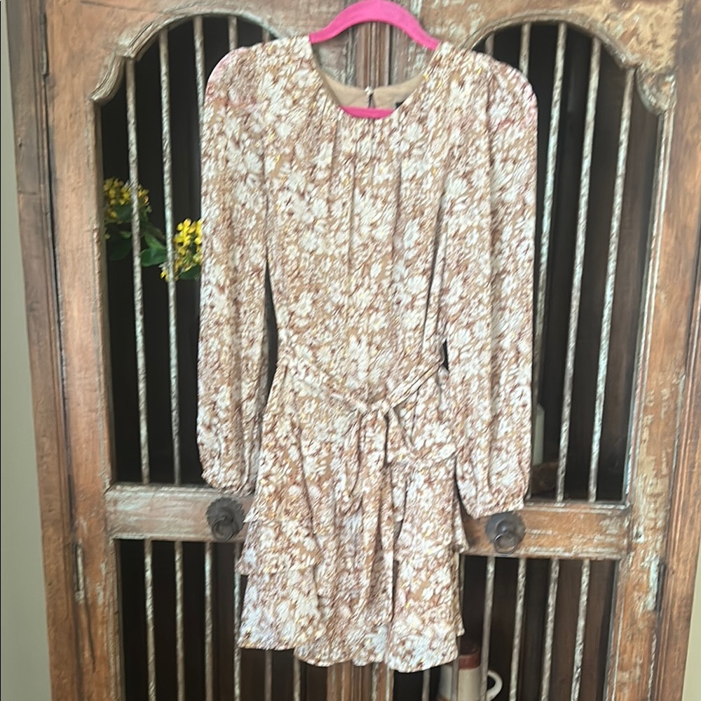 Express Pink Bishop Sleeve Sundress